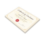 CERTIFICADOS 300X210MM COUCHÊ 300G SEM VERNIZ - 4X0 - 2unid